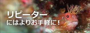 top08