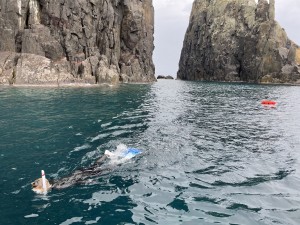 IMG_0668