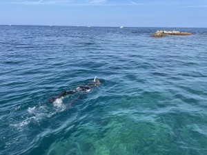 IMG_0735
