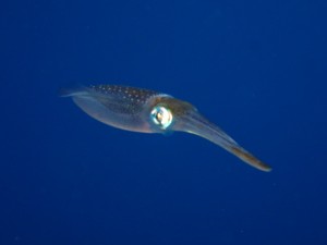 IMG_3703
