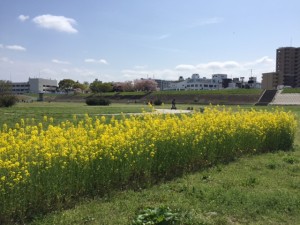 IMG_0104