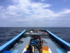 IMG_0479