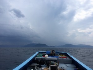 IMG_0482