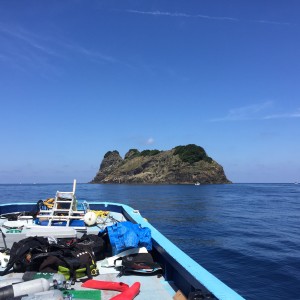 IMG_1225