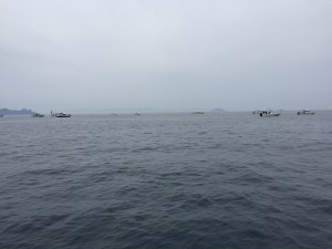 IMG_3039