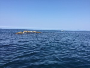 IMG_3044