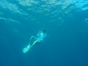 IMG_3490