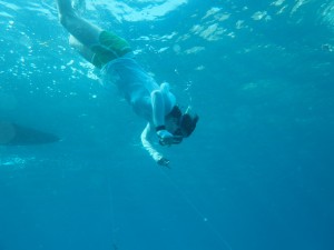 IMG_3492