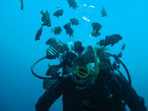 IMG_3494