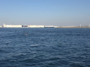 IMG_4117