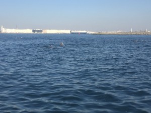 IMG_4120