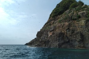 IMG_20190706_151447 (2)