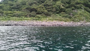 IMG_20190713_140138