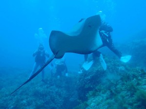 IMG_4279-2