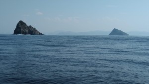 IMG_20190818_142043
