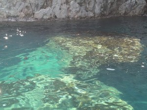 IMG_20190831_131822