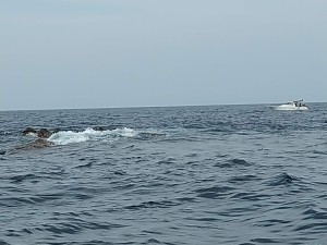 IMG_20190831_144554
