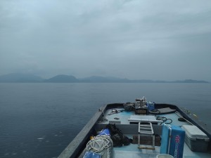 IMG_20190901_142419