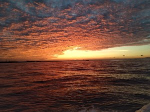 IMG_20190910_052848