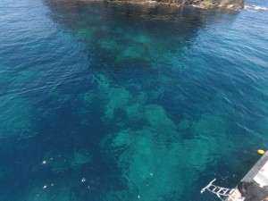 DCIM129GOPROGOPR9322.JPG
