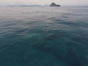 DCIM129GOPROGOPR9391.JPG