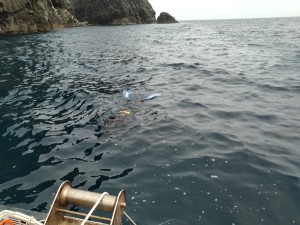IMG_20200606_104529