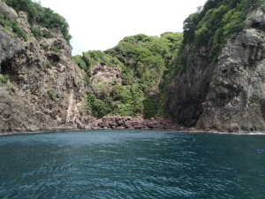 IMG_20200630_141449