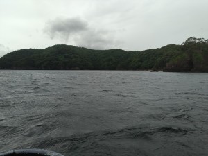 IMG_20200707_140908