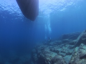 S__34209798
