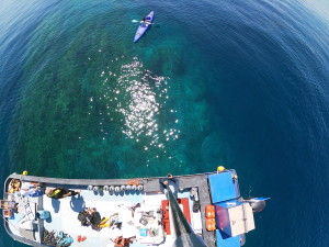 t/sdcard/DCIM/100GOPRO/GOPR0142