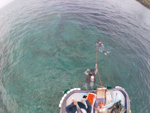 t/sdcard/DCIM/100GOPRO/GOPR0078