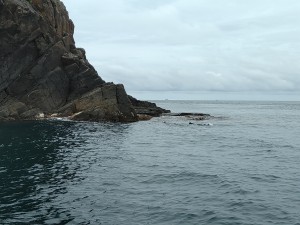 IMG_20200723_122730