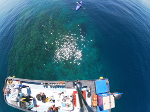 t/sdcard/DCIM/100GOPRO/GOPR0143