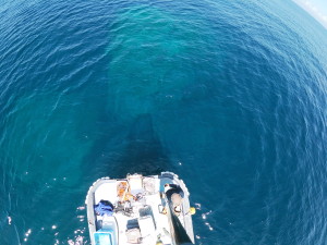 t/sdcard/DCIM/100GOPRO/GOPR0162