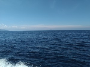 IMG_20200905_131319