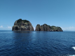 冠小島