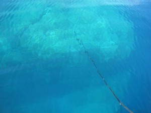 アサグリ東の根