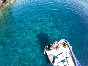 t/sdcard/DCIM/100GOPRO/GOPR0161