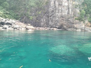 IMG_20200805_115319