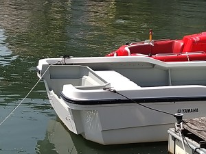 W-43.2
