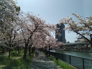 3月31日1
