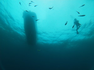 t/sdcard/DCIM/100GOPRO/GOPR0484
