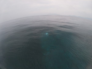 t/sdcard/DCIM/100GOPRO/GOPR0479