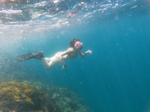 t/sdcard/DCIM/100GOPRO/GOPR0521