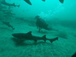 t/sdcard/DCIM/100GOPRO/GOPR0674