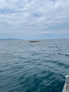 IMG_0048