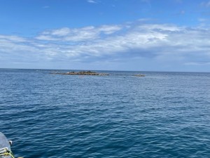 IMG_0157