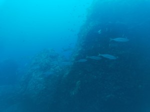 t/sdcard/DCIM/100GOPRO/GOPR0818