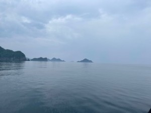 IMG_0315