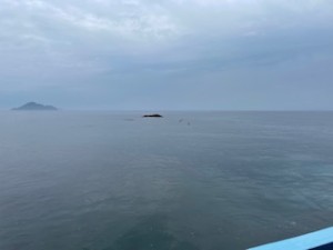 IMG_0316